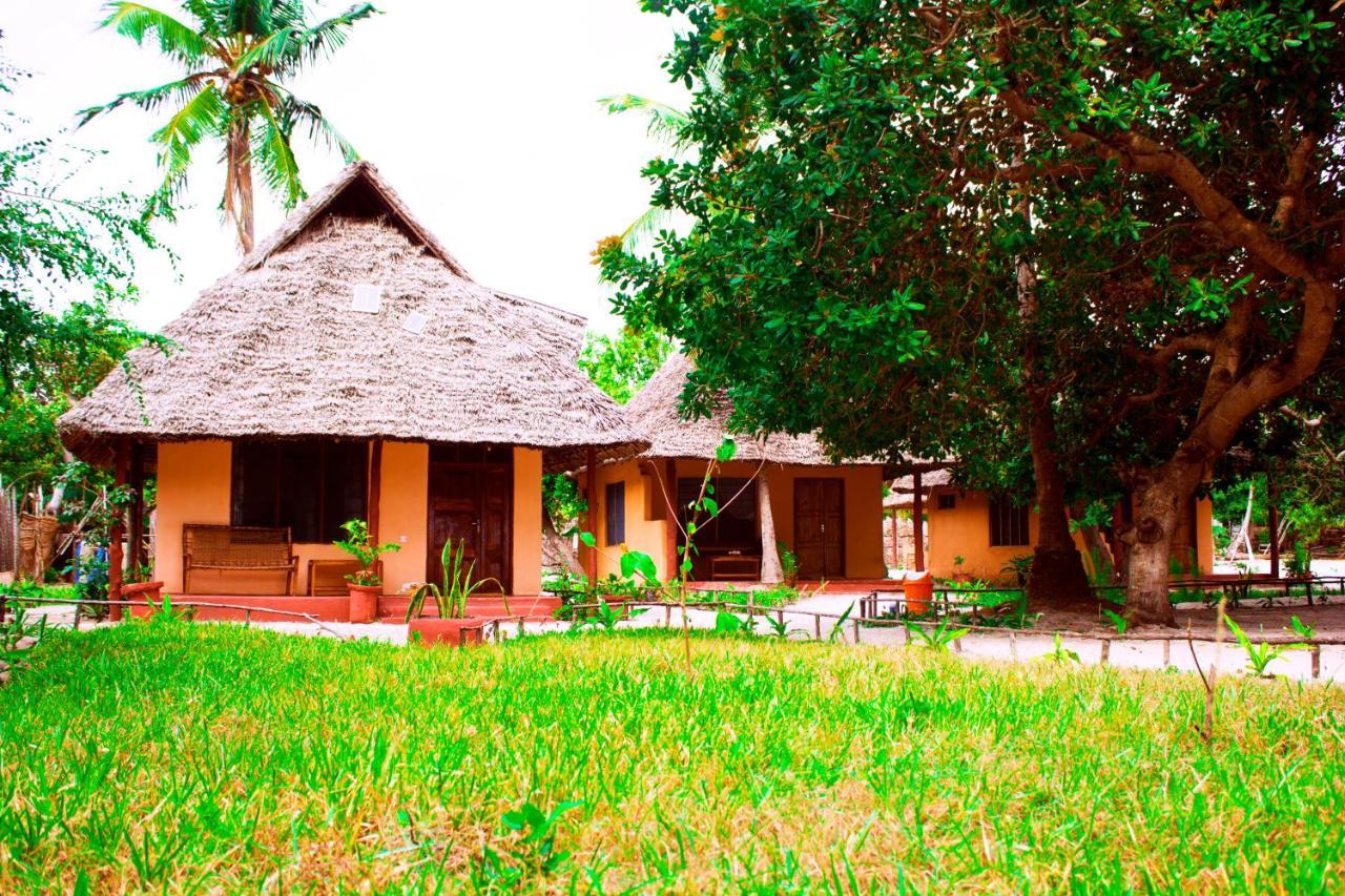 Afro Whale Shark Safari Bed & Breakfast Kilindoni Екстериор снимка