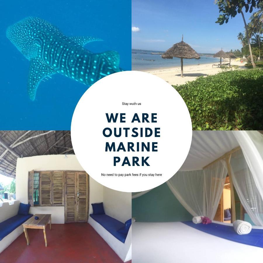 Afro Whale Shark Safari Bed & Breakfast Kilindoni Екстериор снимка