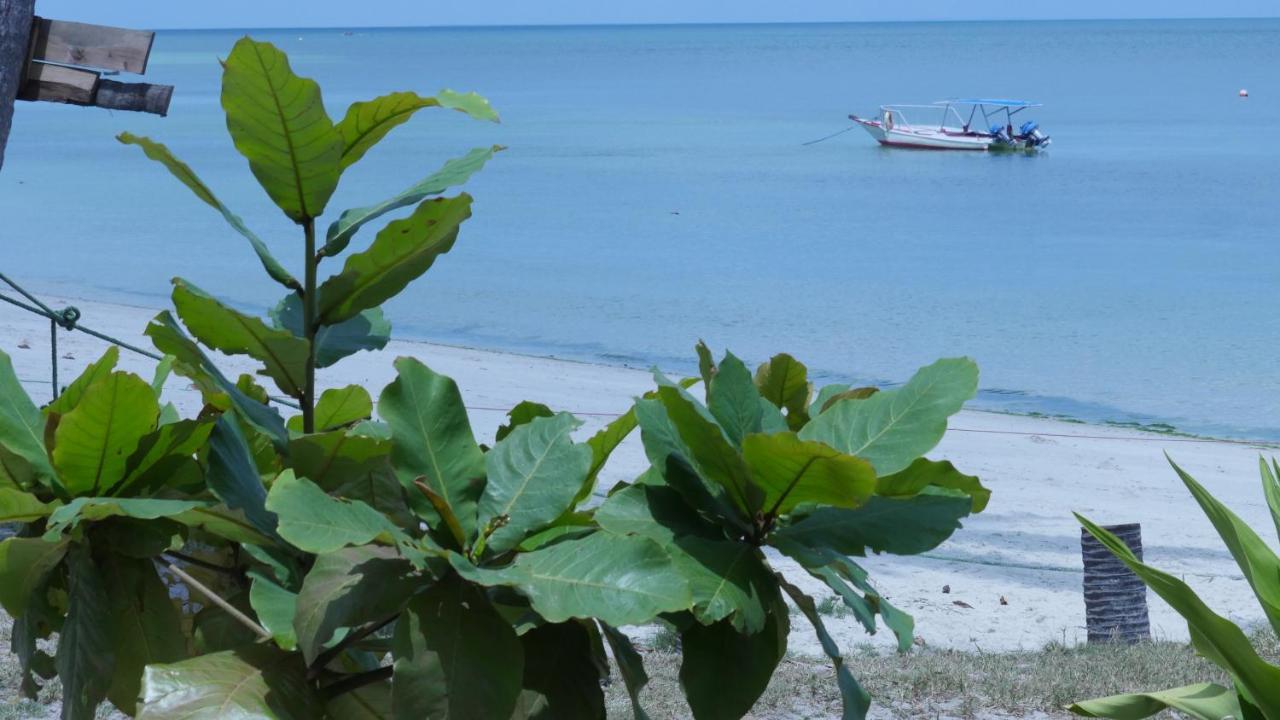 Afro Whale Shark Safari Bed & Breakfast Kilindoni Екстериор снимка