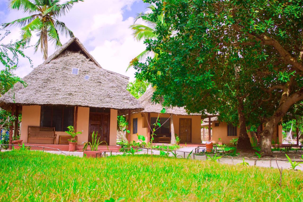 Afro Whale Shark Safari Bed & Breakfast Kilindoni Екстериор снимка