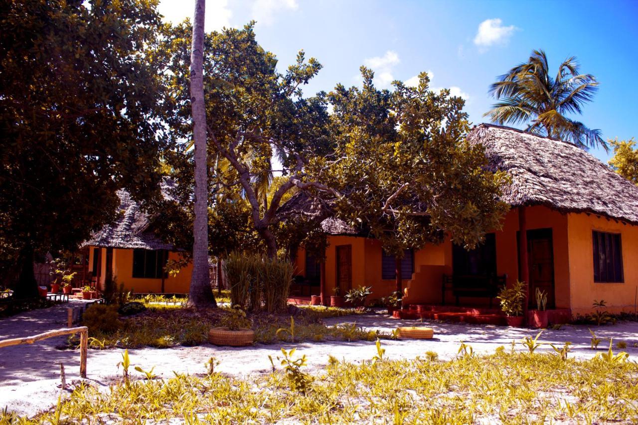 Afro Whale Shark Safari Bed & Breakfast Kilindoni Екстериор снимка