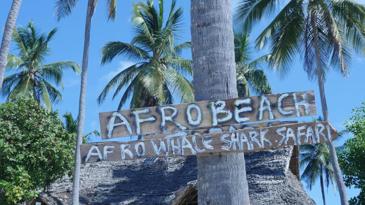 Afro Whale Shark Safari Bed & Breakfast Kilindoni Екстериор снимка