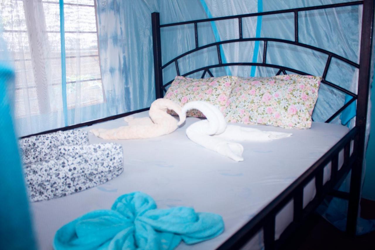 Afro Whale Shark Safari Bed & Breakfast Kilindoni Екстериор снимка